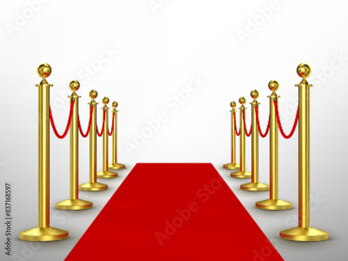 Barrier rope and red carpet