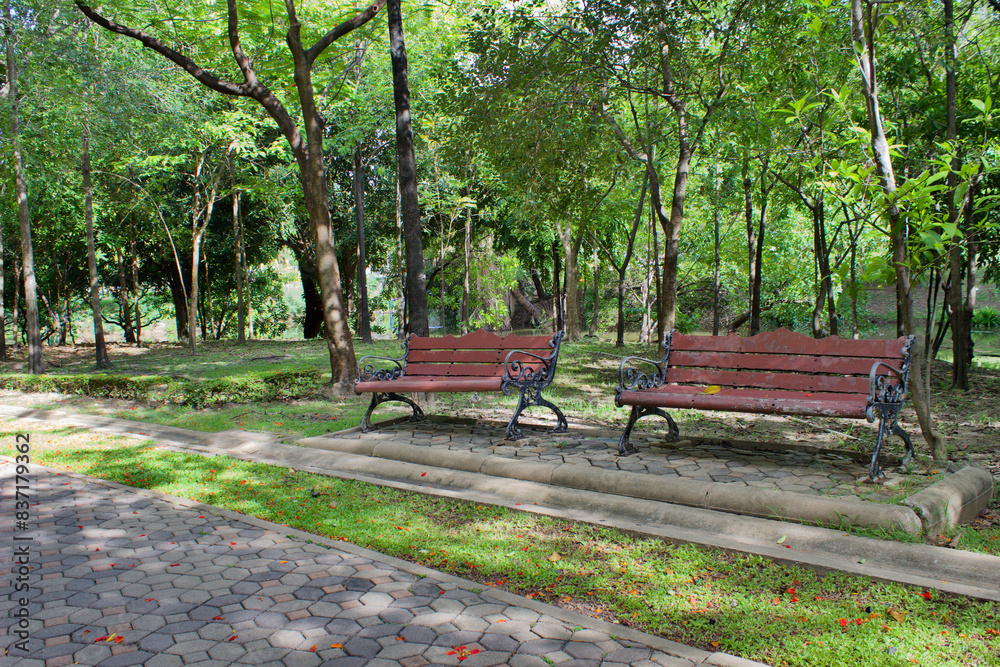 Landscape of bench and green plants with selective focus Landscape of bench and green plants with selective focus