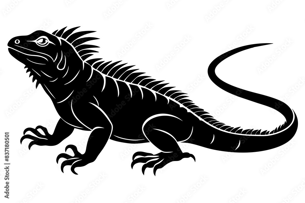 iguana silhouette vector illustration
iguana silhouette vector illustration