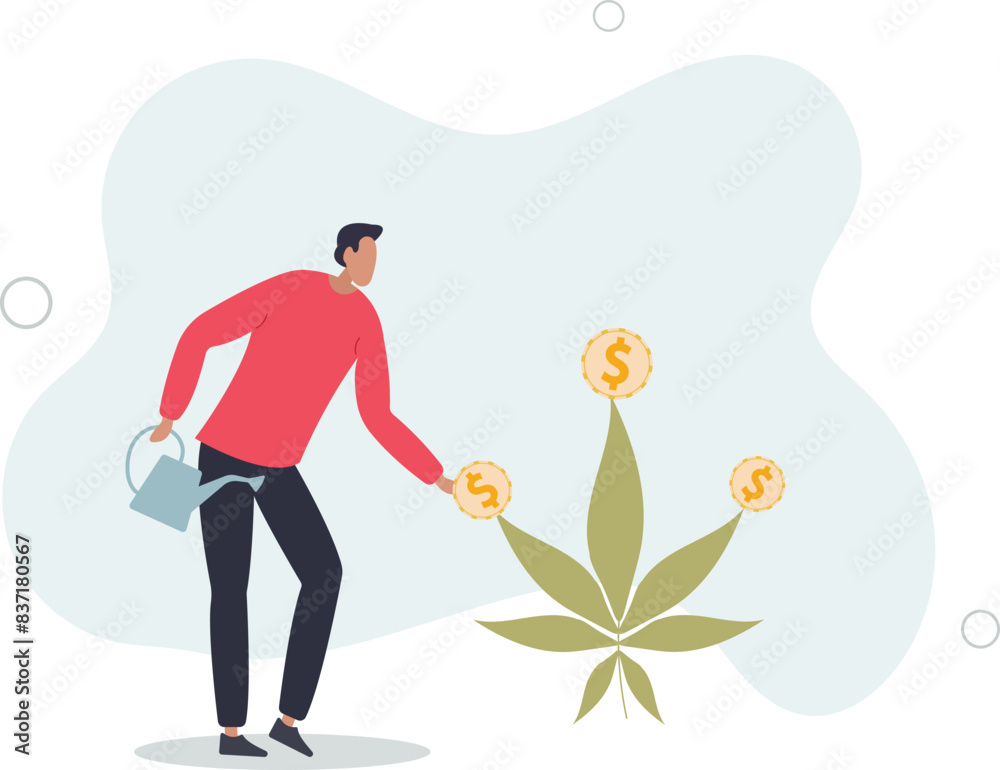 Fototapeta premium businessman watering cannabis plant with dollar money earning.flat vector illustration.