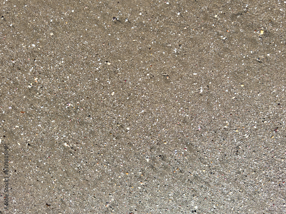 Wet sand texture with small stones
