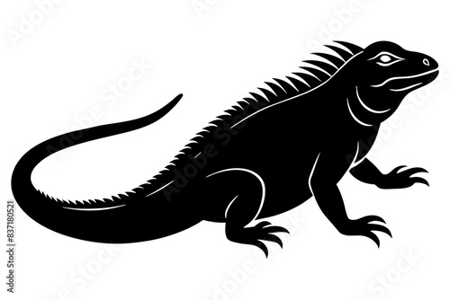 iguana silhouette vector illustration
