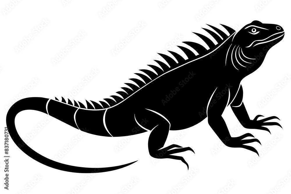 iguana silhouette vector illustration
iguana silhouette vector illustration