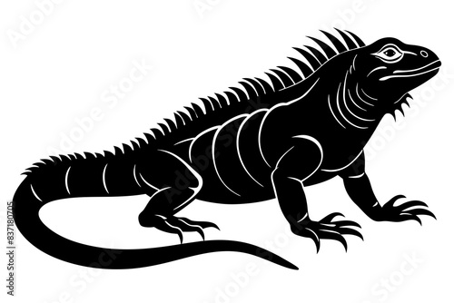 iguana silhouette vector illustration

