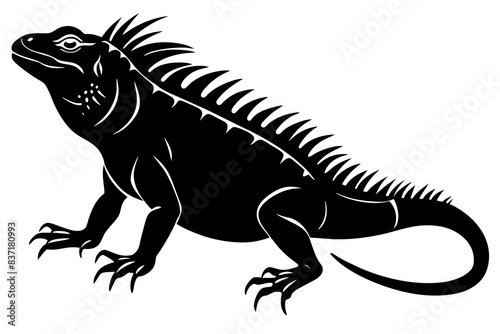 iguana silhouette vector illustration  © Shiju Graphics