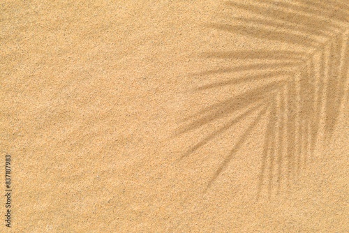 Fototapeta Naklejka Na Ścianę i Meble -  Tropical palm leaves shadow effect on beach sand. Palm leaf silhouette over brown sand surface. Natural pattern summer texture background with copy space. Mockup for product. Holiday concept