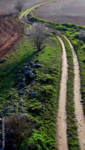 Vertical video of a dirt road at sunset seen by a forward moving drone
