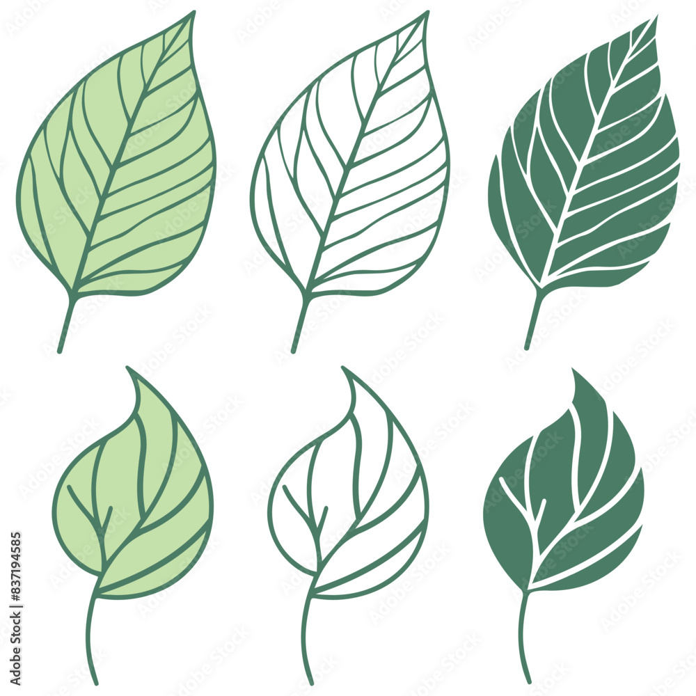 leaf icon vector, Leaf of tree in the garden, leaves of plant in the park leaf icon vector, Leaf of tree in the garden, leaves of plant in the park