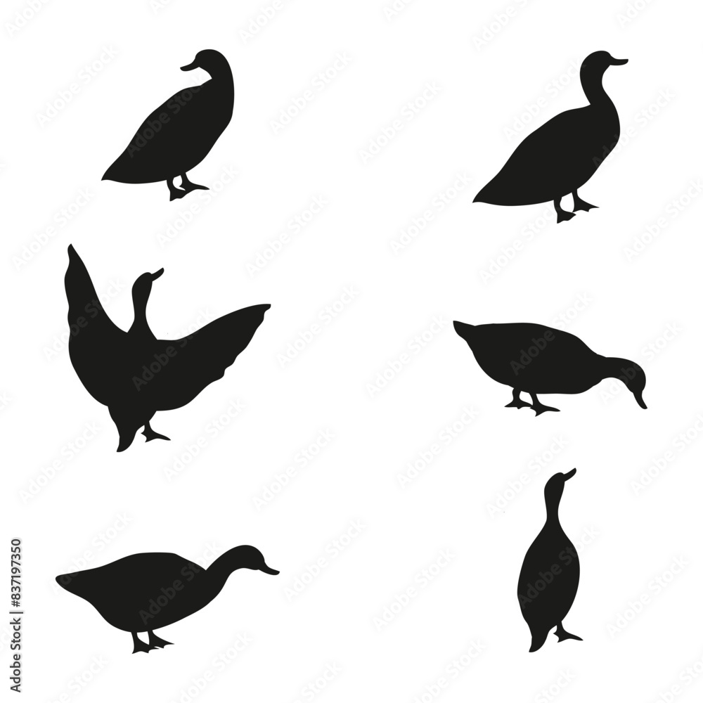 Fototapeta premium duck silhouette. set of duck silhouettes or wild birds isolated on a white background. duck silhouette png.