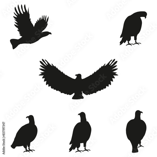 eagle silhouette. set of eagle silhouettes isolated on white background. set of wild animals silhouette on white background. eagle silhouette png.