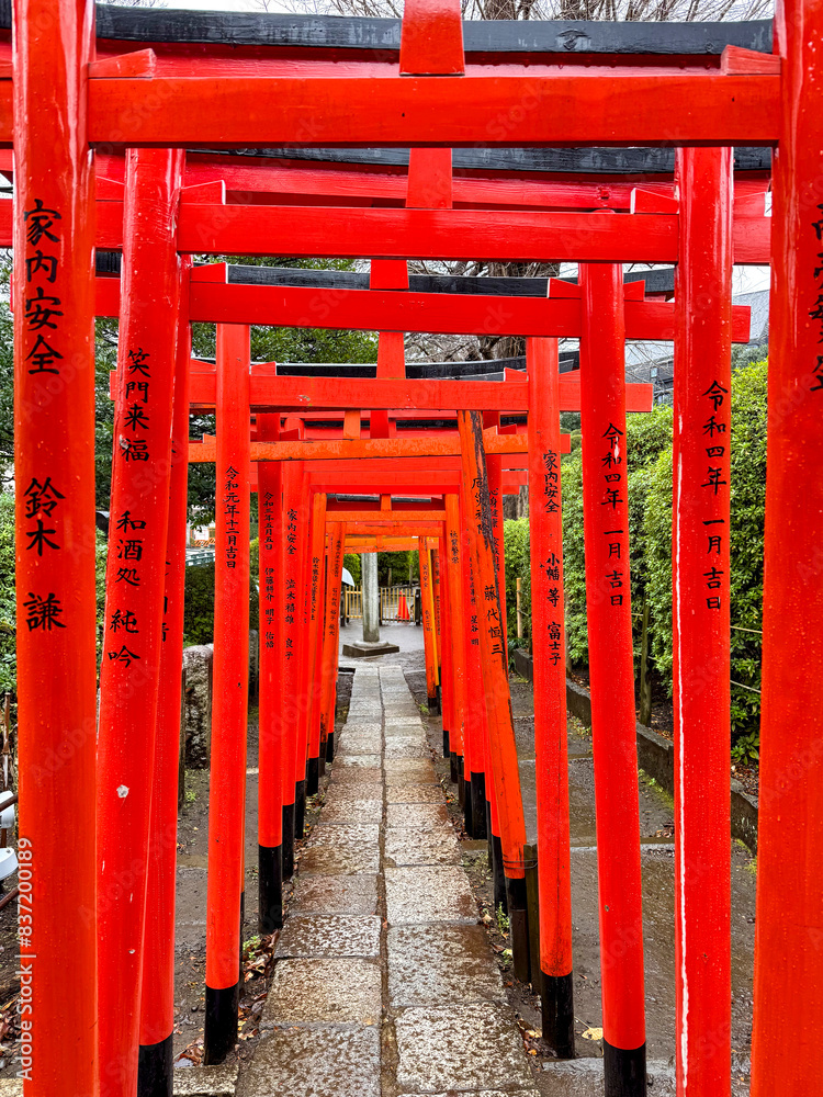 Vibrant red torii gates line a path in a serene japanese shrine with kanji inscriptions Vibrant red torii gates line a path in a serene japanese shrine with kanji inscriptions