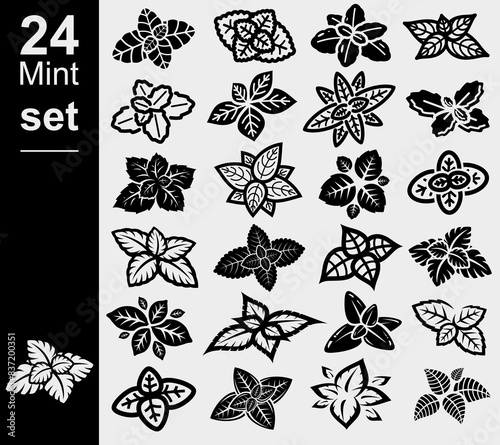 Mint leaves set. Collection mint leaves icon. Vector