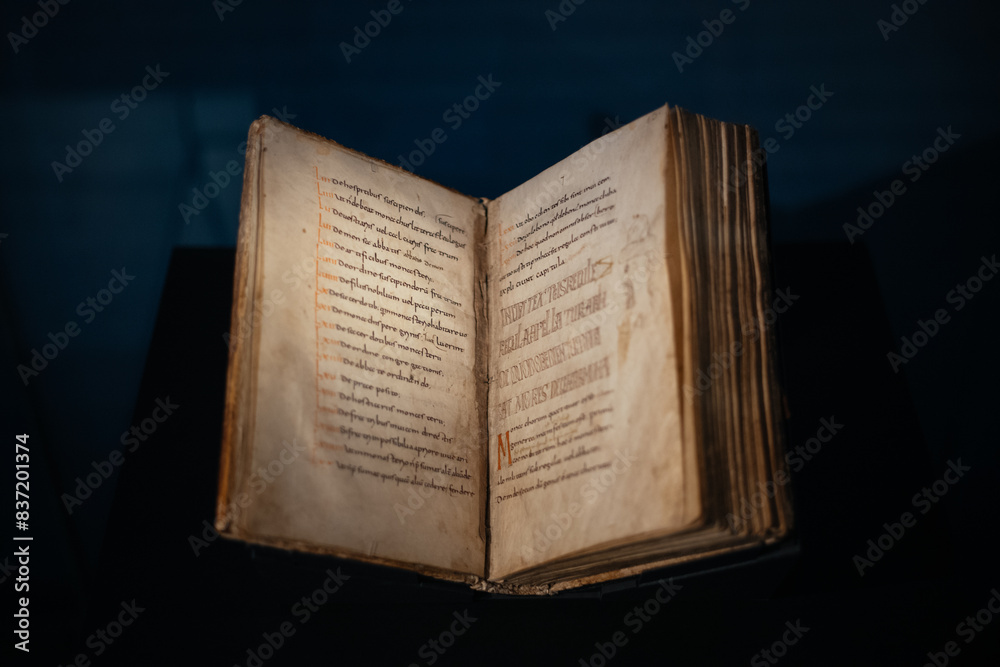 Fototapeta premium Altes Buch