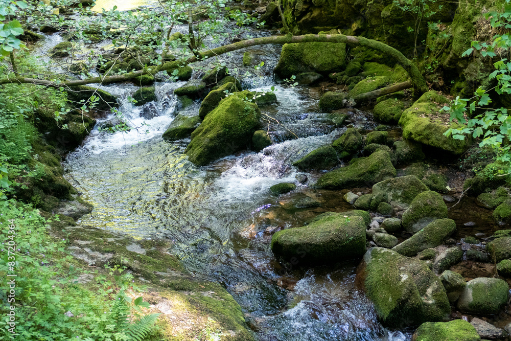 Fluß Grobbach in Baden-Baden zum Wasserfall Geroldsau Fluß Grobbach in Baden-Baden zum Wasserfall Geroldsau