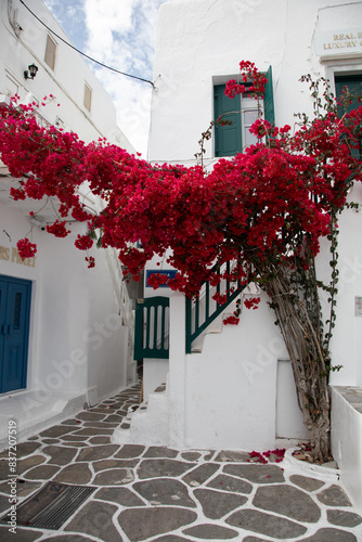 Fototapeta Naklejka Na Ścianę i Meble -  Mykonos village side streets