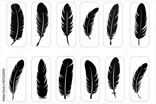 feather silhouette Bundle, Bird Feather Silhouette