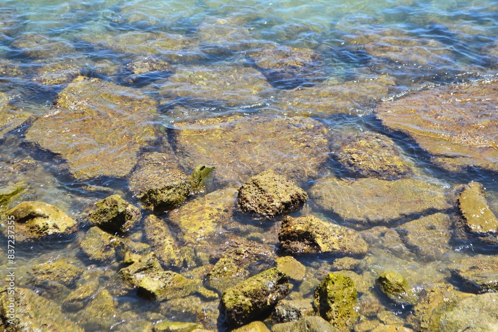 tropical background of rocks beach under water. Underwater oasis: vibrant rocks and serene sandy beach tropical background of rocks beach under water. Underwater oasis: vibrant rocks and serene sandy beach