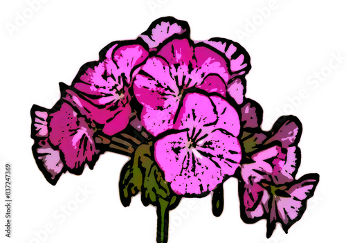 Watercolor geranium flower isolated on white background.
