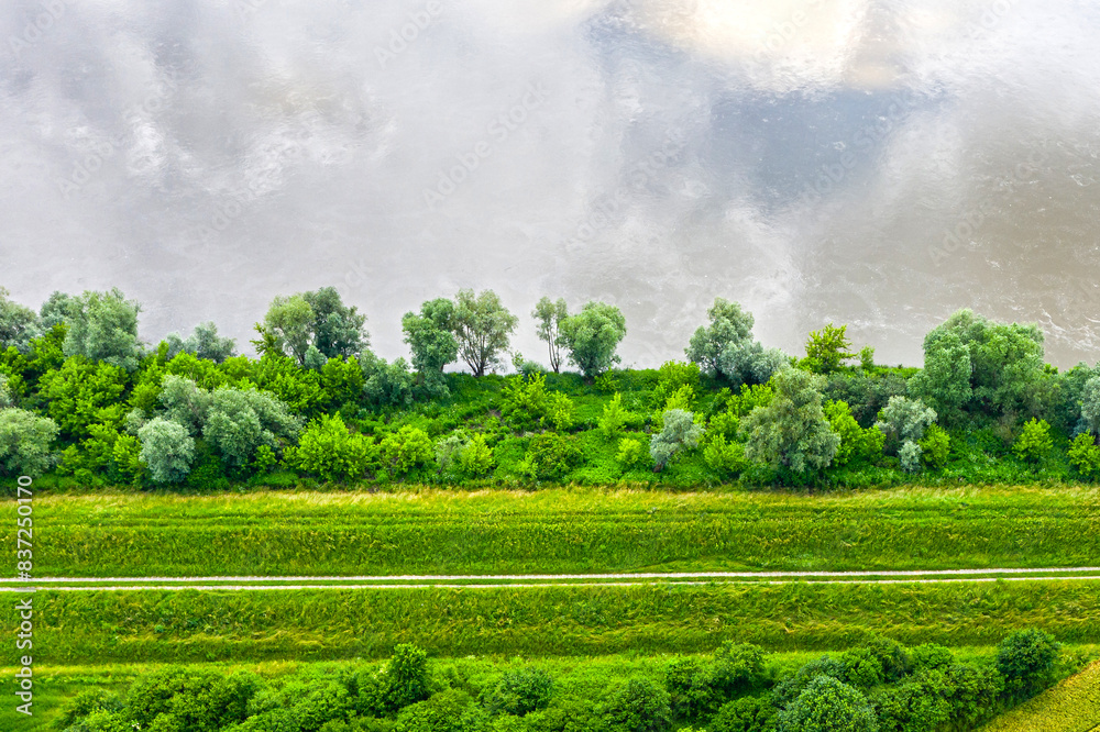 Fototapeta premium Rezerwat Krowia Wyspa na Wiœle w okolicach Kazimierza Dolnego, abstrakcyjny widok z lotu ptaka na drzewa i brzeg rzeki