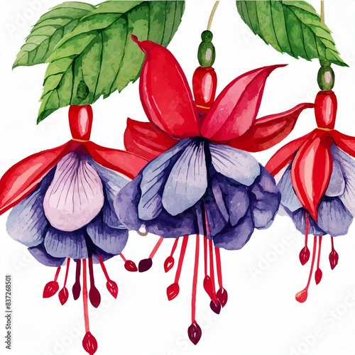 beautiful fuchsia watercolor photo
