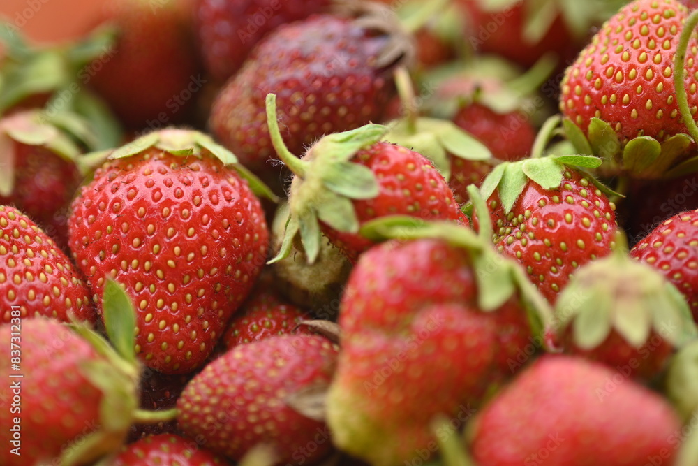 close-up strawberry berry texture, organic strawberry fruit small summer juicy strawberries close-up strawberry berry texture, organic strawberry fruit small summer juicy strawberries