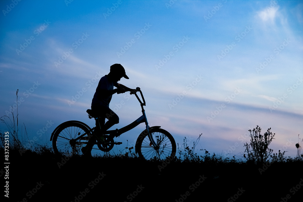 Obraz premium A Happy child and bike concept in park outdoors silhouette