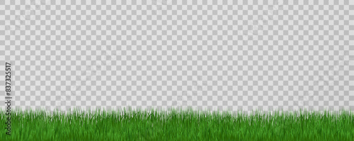 Grass border, vector illustration. Vector grass, lawn. Grass png, lawn png. Green grass with sun glare.	