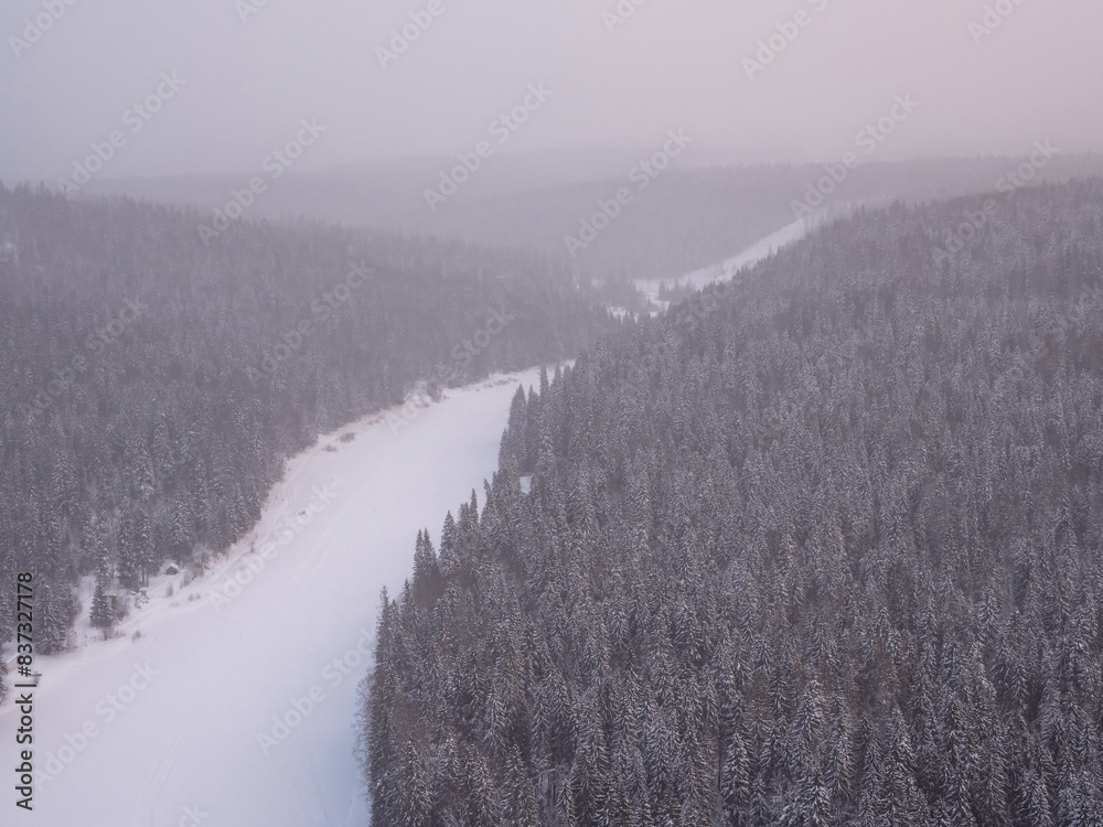 snowy coniferous forest and snow covered river under morning pin snowy coniferous forest and snow covered river under morning pin