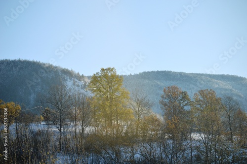 winter morning frost with snow