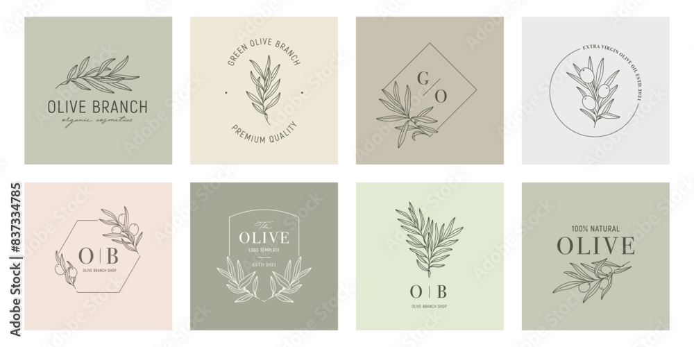 Olive label templates set with olive branches on color backgrounds in minimal linear style. Vector leaves and olive fruits. Greenery plants and simple frames Olive label templates set with olive branches on color backgrounds in minimal linear style. Vector leaves and olive fruits. Greenery plants and simple frames