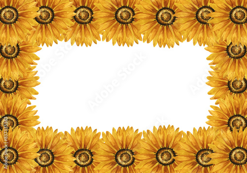 Watercolor sunflowers frame. Rectangular frame with yellow flowers. Summer floral composition. Autumn flowers arrangement. Hand drawn botanical illustration for postcard, invitation, greeting.