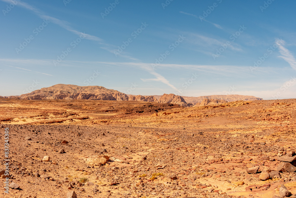custom made wallpaper toronto digitalDesert with mountains. Sinai, Egypt.