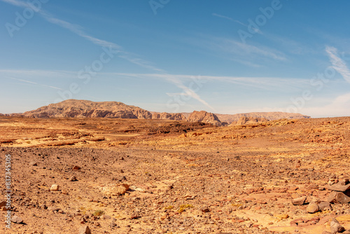 Desert with mountains. Sinai, Egypt.