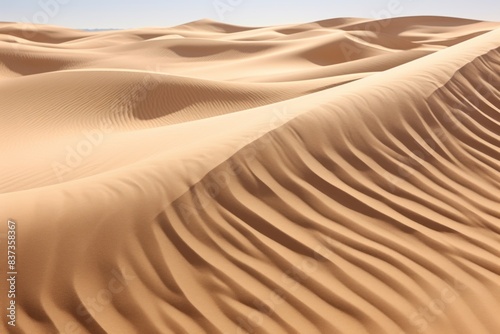 Expansive Sand Dunes in Desert Landscape