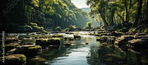 A majestic natural waterfall located in the middle of a nature reserve forest park photo