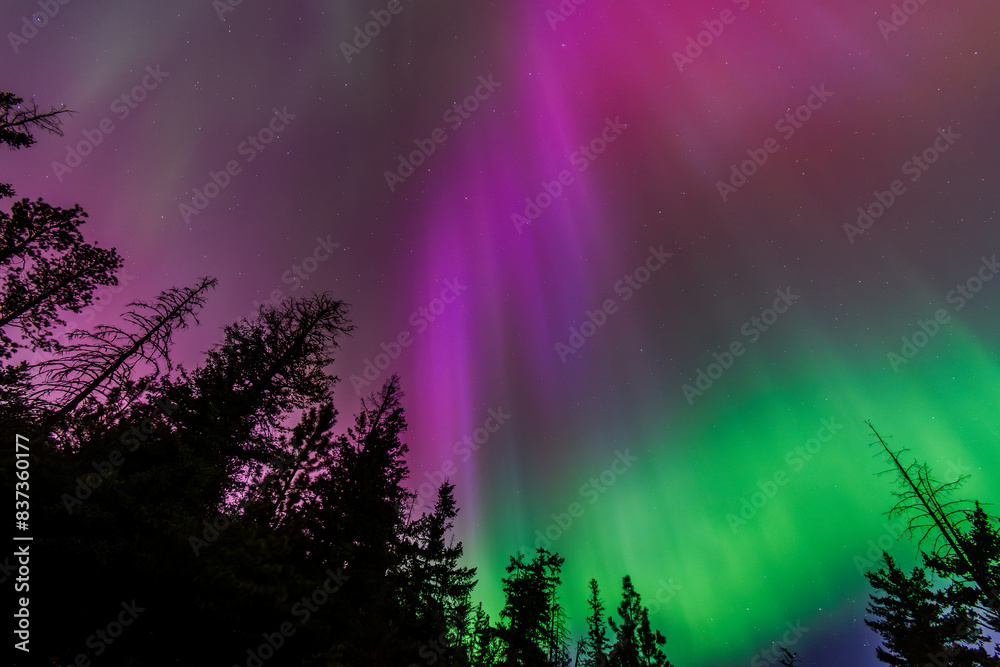 Amazing Aurora Borealis Northern Lights Seen Over Washington State, USA