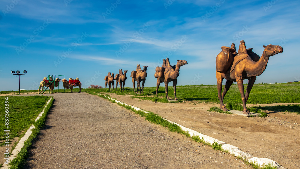 Naklejka premium camels