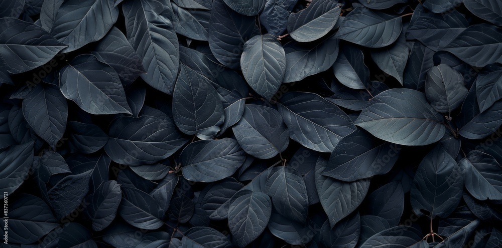 A flat lay with abstract black leaves and tropical leaf background. Digital art, dark nature, tropical leaf, digital textures A flat lay with abstract black leaves and tropical leaf background. Digital art, dark nature, tropical leaf, digital textures