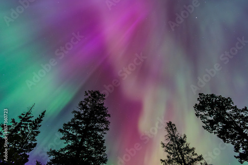 Amazing Aurora Borealis Northern Lights Seen Over Washington State  USA