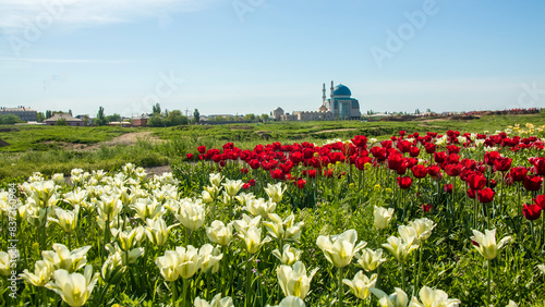 Hoca Ahmet Yesevi Mosque photo