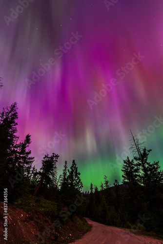 Amazing Aurora Borealis Northern Lights Seen Over Washington State, USA