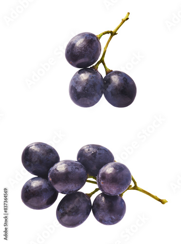 Fotografie Fresh organic Blue Grape falling in the air isolated on white background