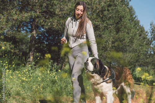 Woman and dog enjoying a sunny day in the park. Happy woman walks her saint bernard dog among blooming wildflowers photo