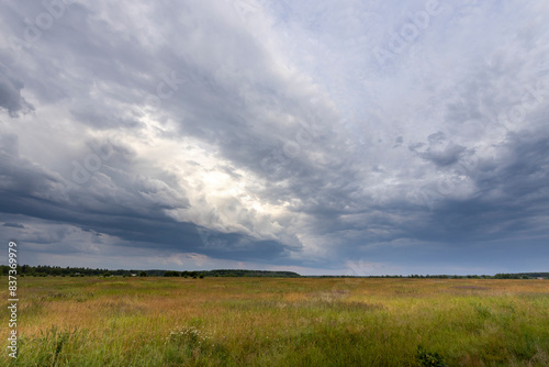 A wide  grassy meadow stretches out under a partly cloudy sky. The clouds are thick and grey  hinting at an impending rain shower  but a sliver of blue sky shines through