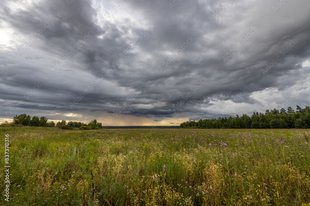 A view of a vast, green meadow stretching out to a line of trees in the distance. A stormy sky looms overhead, casting dramatic shadows on the landscape. A view of a vast, green meadow stretching out to a line of trees in the distance. A stormy sky looms overhead, casting dramatic shadows on the landscape.