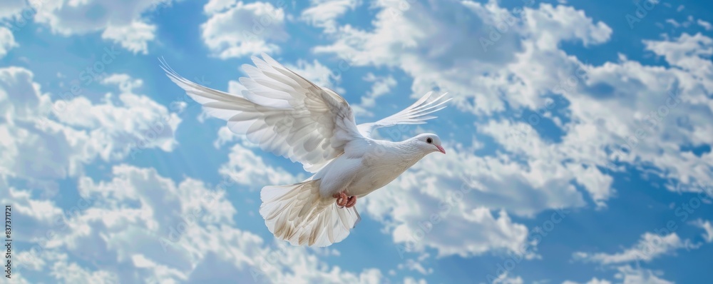 Obraz premium A white dove flying in the sky. Concept of freedom and peace