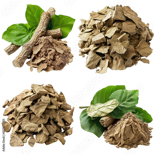 Photo of Kava herb, Asian herbs, isolated on transparent background. photo