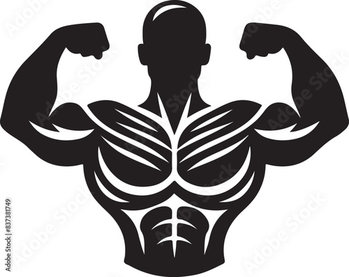 muscle vector