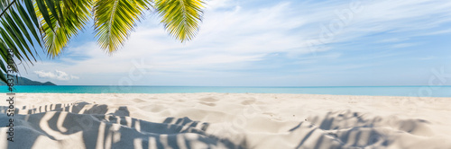 Idyllic summer tropical beach background  with white sand and palm trees in foreground.