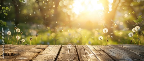 Sunlight illuminates a forest of old trees, dandelions, green grass, and a rustic wooden table, close-up blurry landscape photo